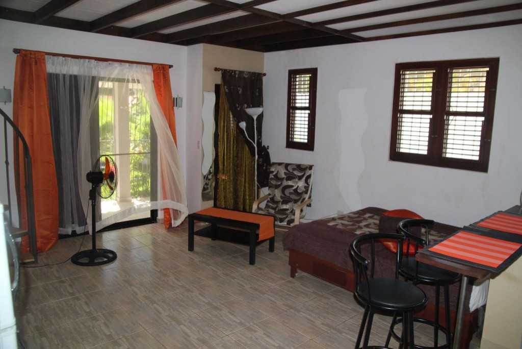 APARTMENT SOSUA