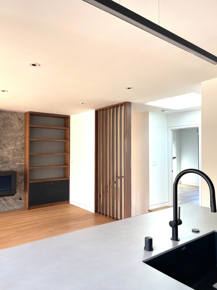 Mittelgroßes, Fernseherloses, Offenes Modernes Wohnzimmer mit bunten Wänden, hellem Holzboden, Hängekamin, Kaminumrandung aus Stein und braunem Boden in San Francisco
