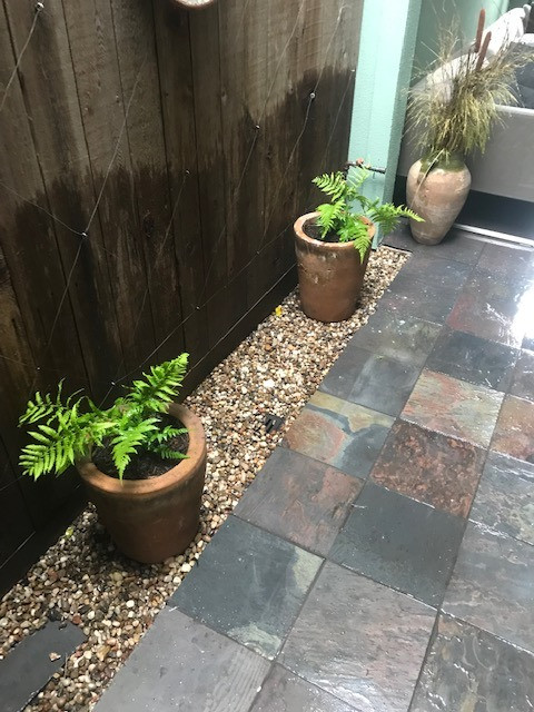 Townhome patio and walk space