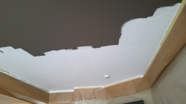 Ceiling Repaint 