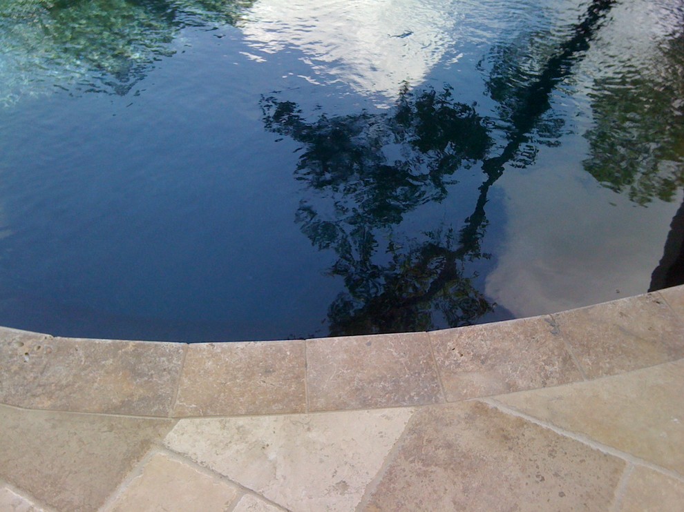 Inspiration for a mid-sized transitional backyard custom-shaped infinity pool in Other with tile.