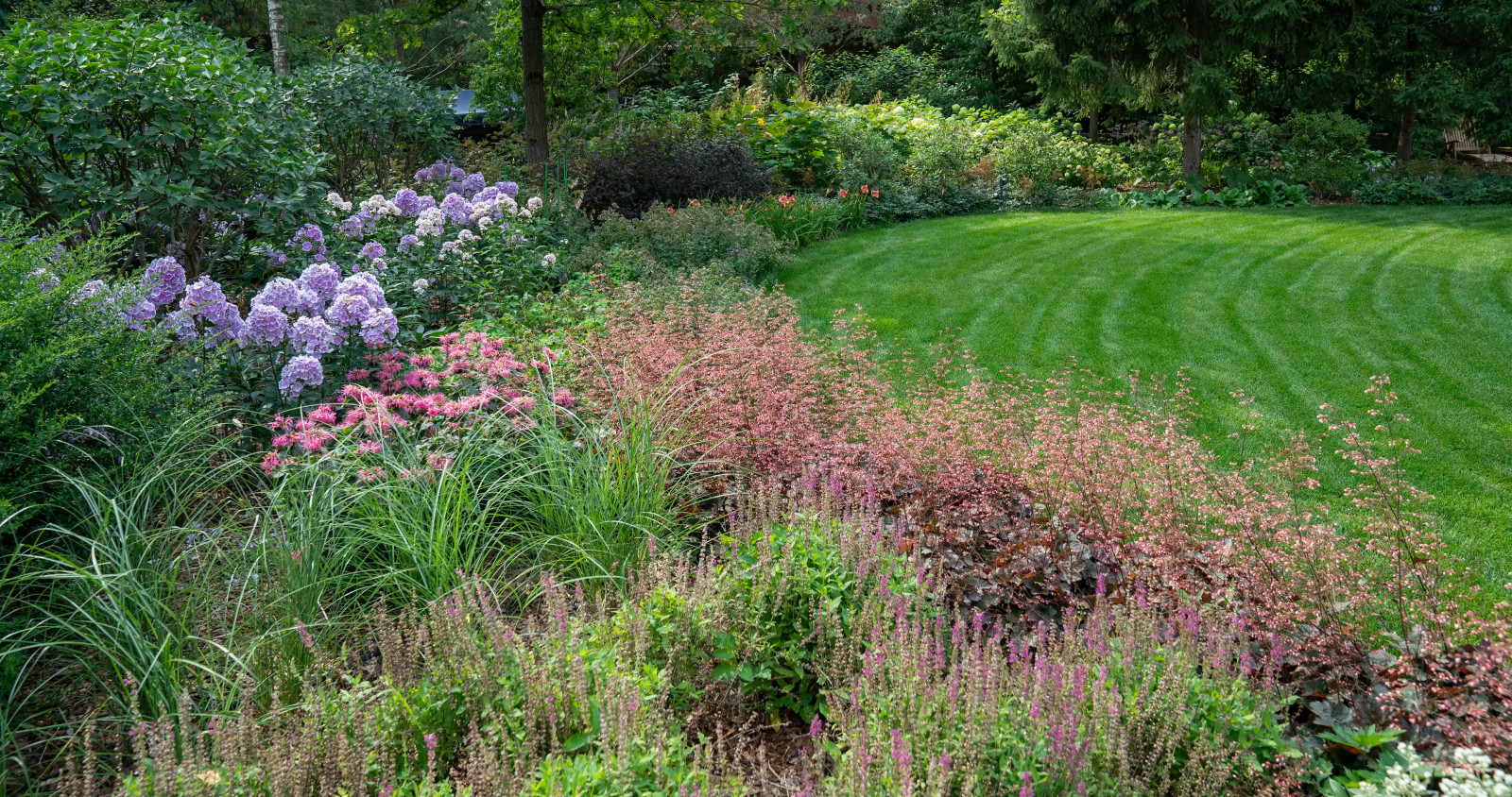 Круговорот  цвета. Дубровка 2021