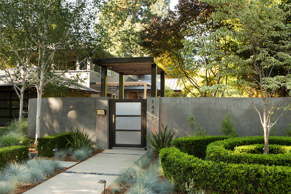 Contemporary shaded garden in San Francisco with a garden path.