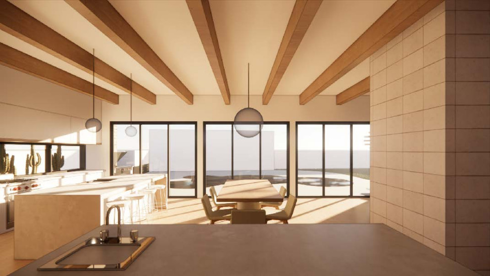 Desert Modern