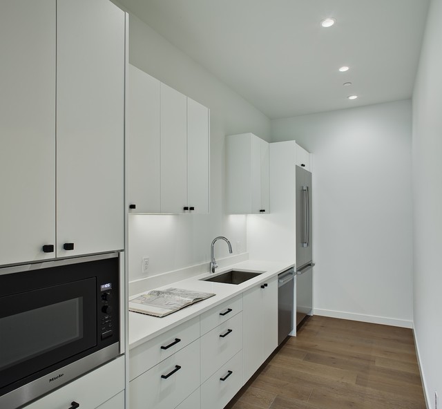 1438 Mount Larson modern-kitchen