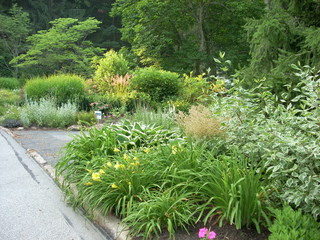 Landscape Design Wayne, PA