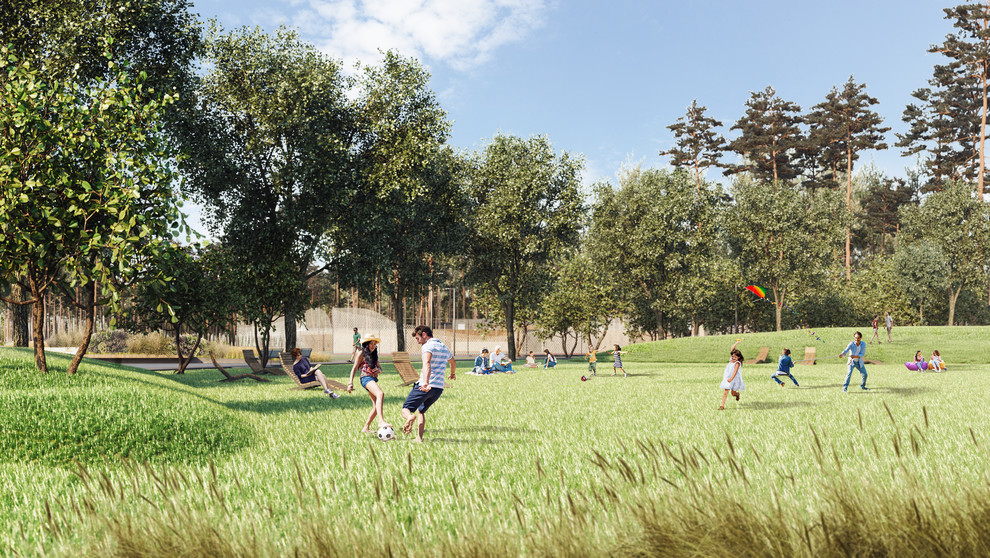 Репино парк