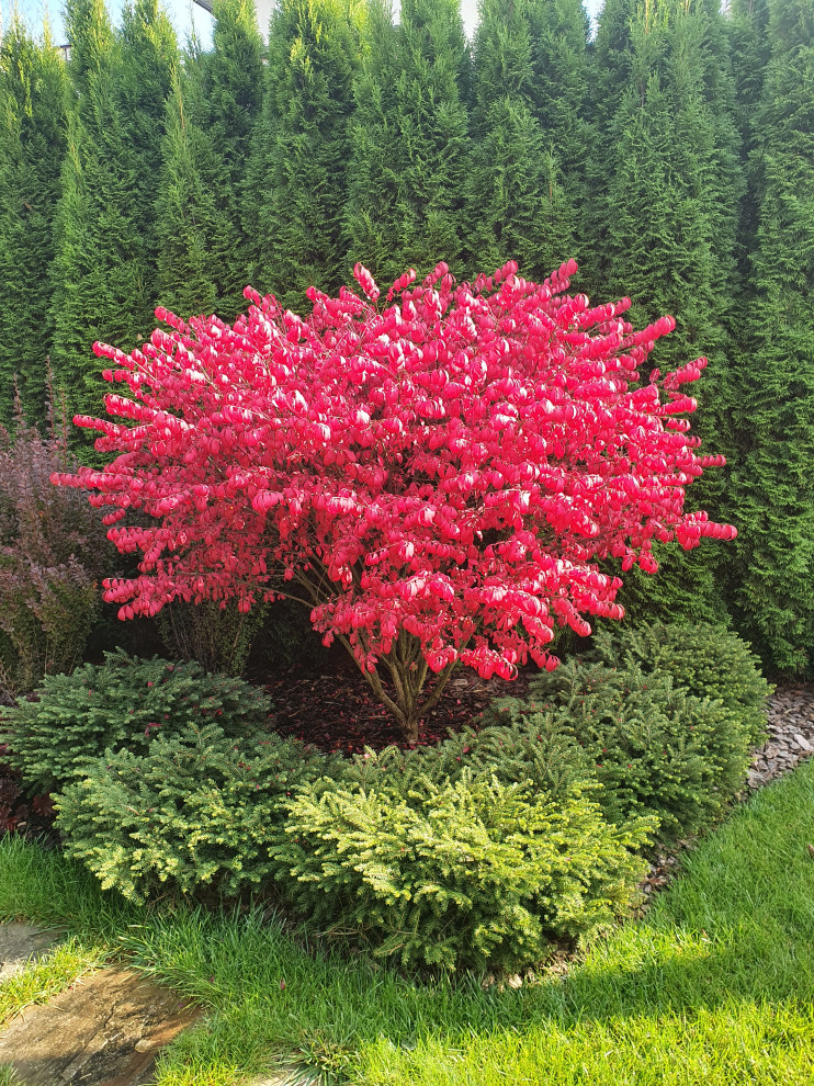 Сады осенью