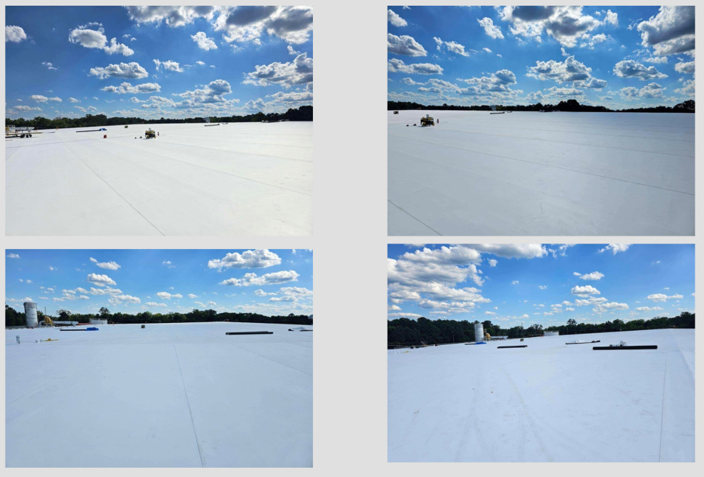 TPO Roofs