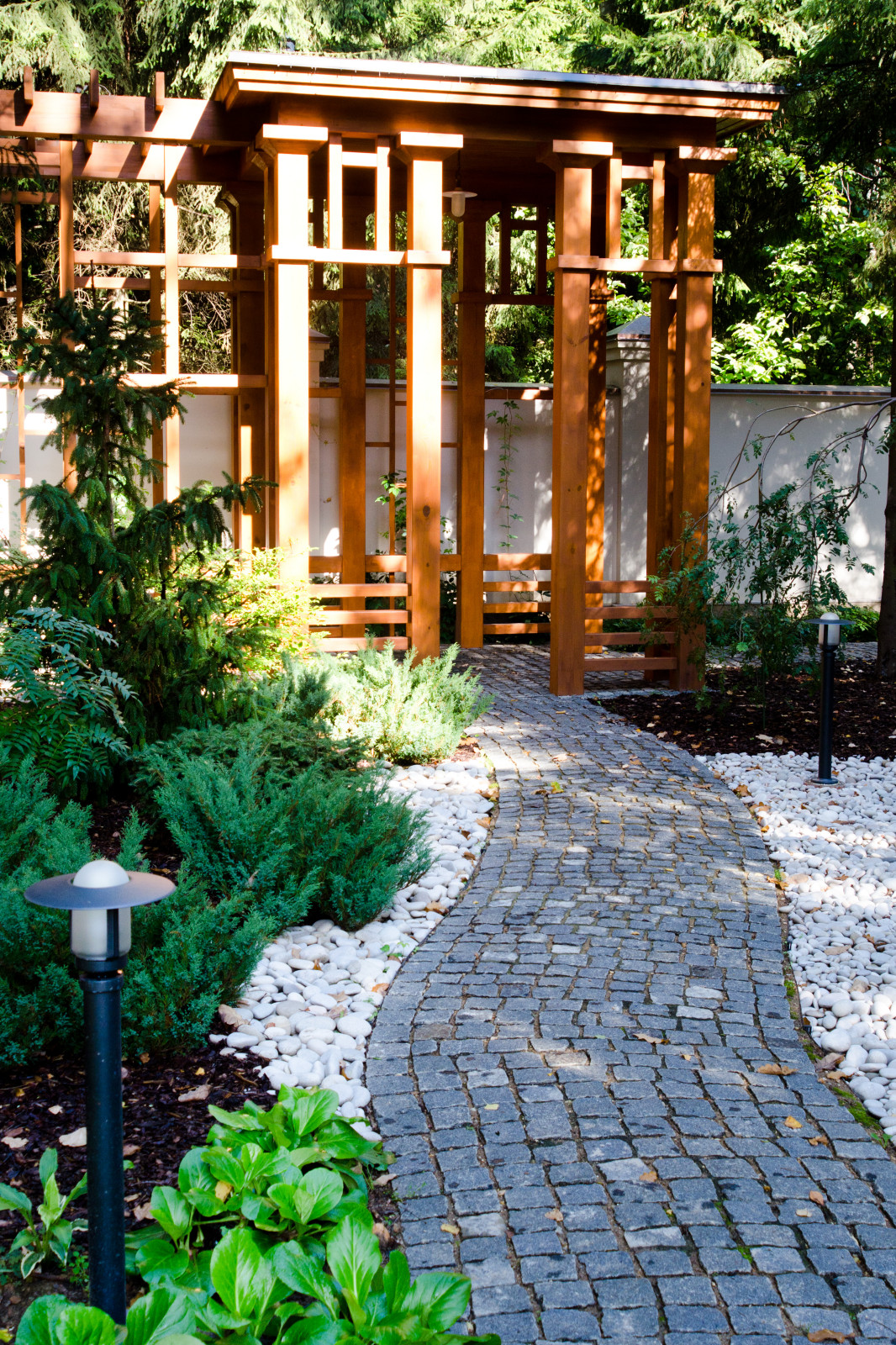 Глянцевый лес