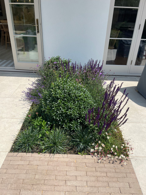 Planting bed by doors to kitchen contemporary-garden