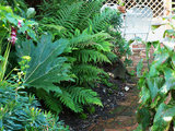 Landscape by Green Tree Garden Design Ltd