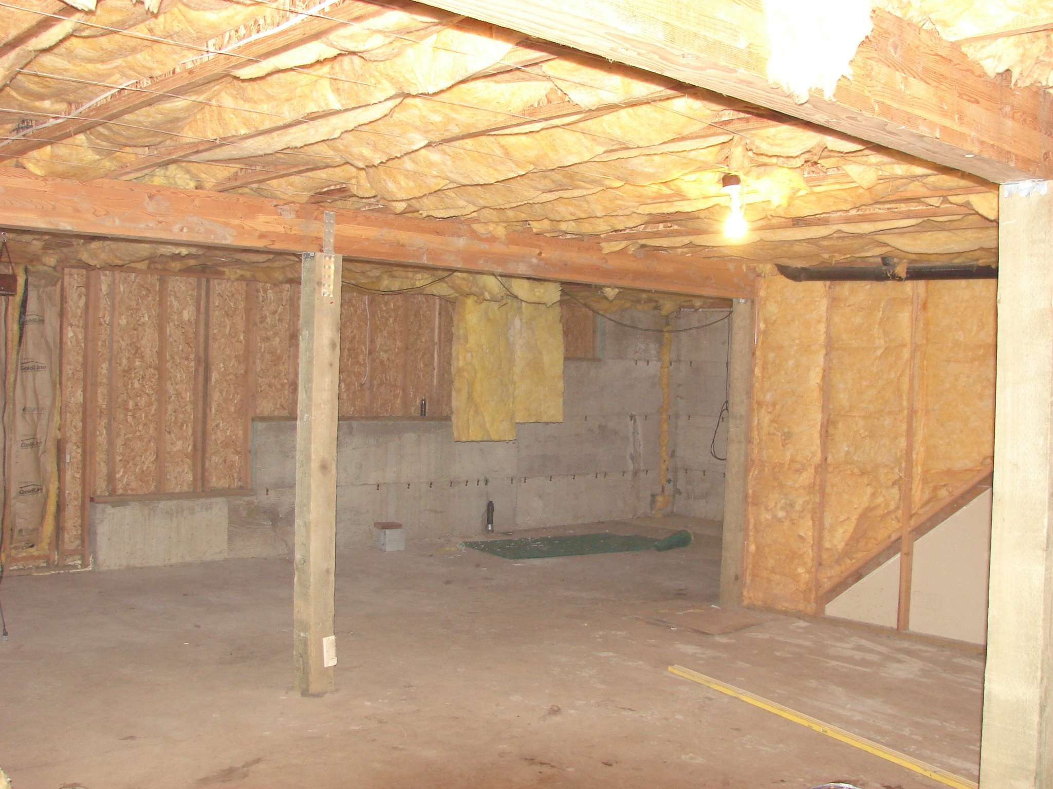 Basement Ann