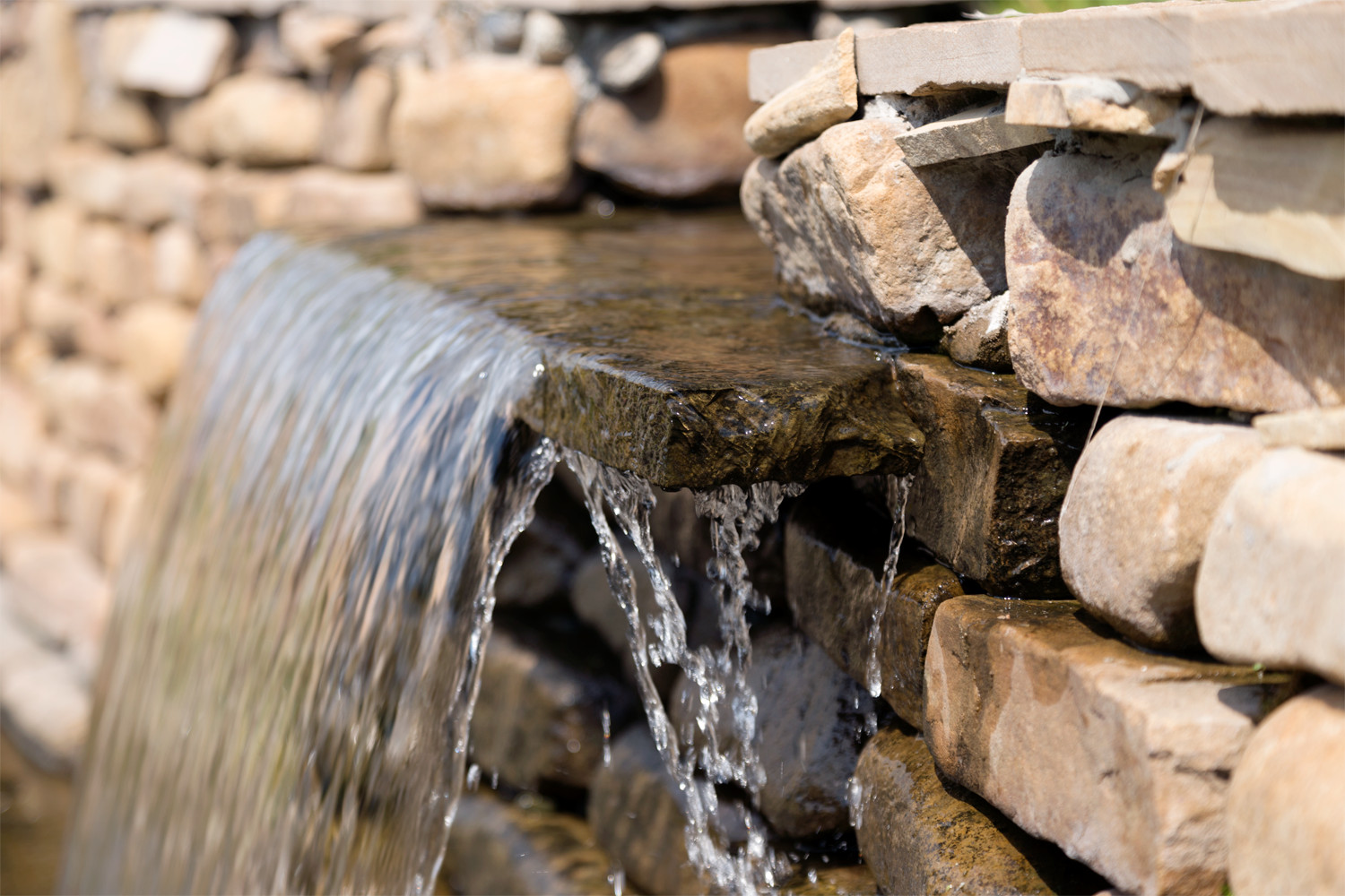 Новая Рига, Москва