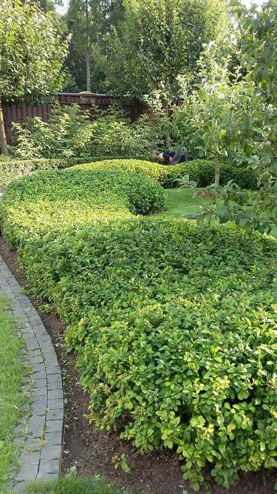 Сенькино московская обл