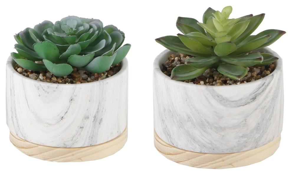 2-Piece Succulent, Marbel With Wood Base