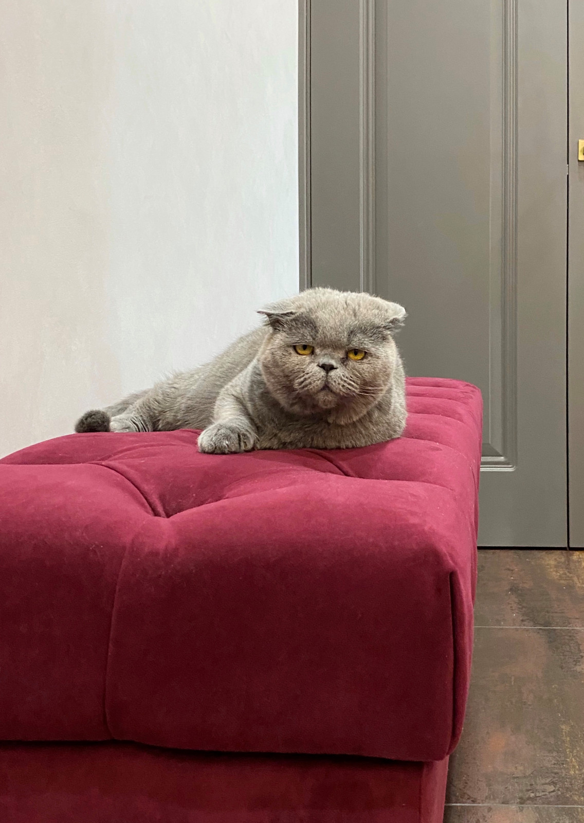 2-х комнатная квартира в современной классике. ЖК «MATRЁSHKA city», Ижевск