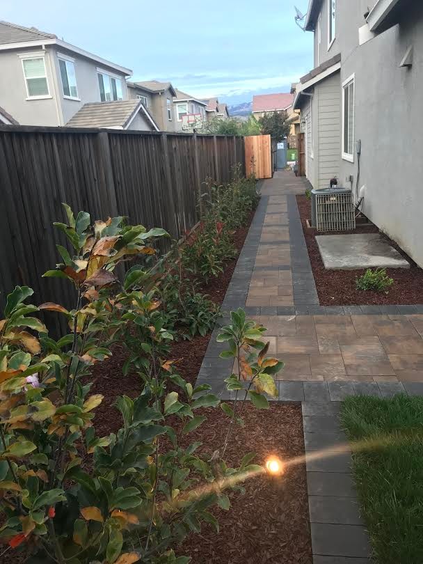 Backyard Patio with Pergola