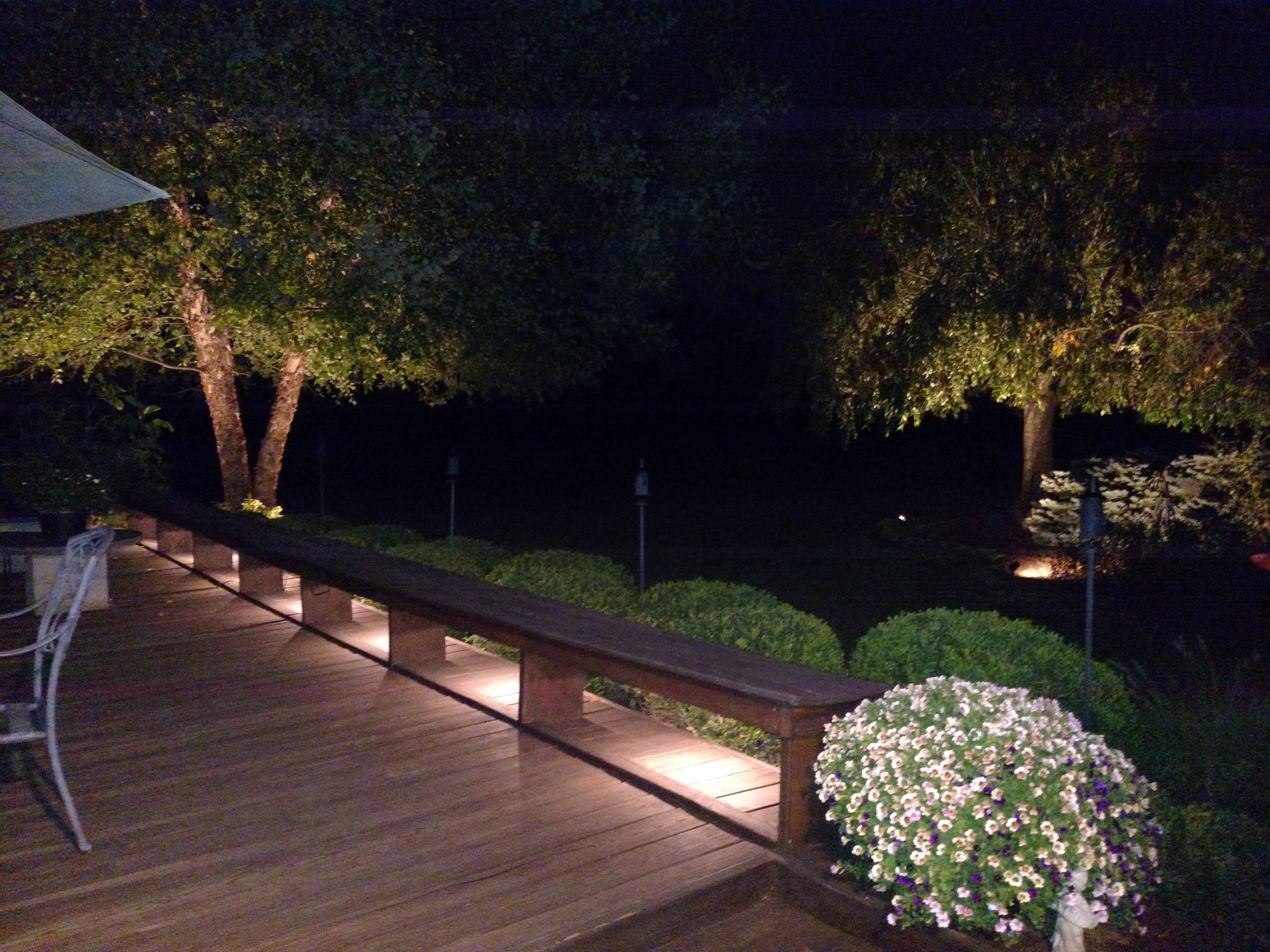 Custom landscape lighting