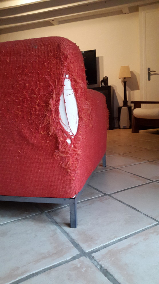 Help ! Mon canapé a été pulvérisé par mon chat !