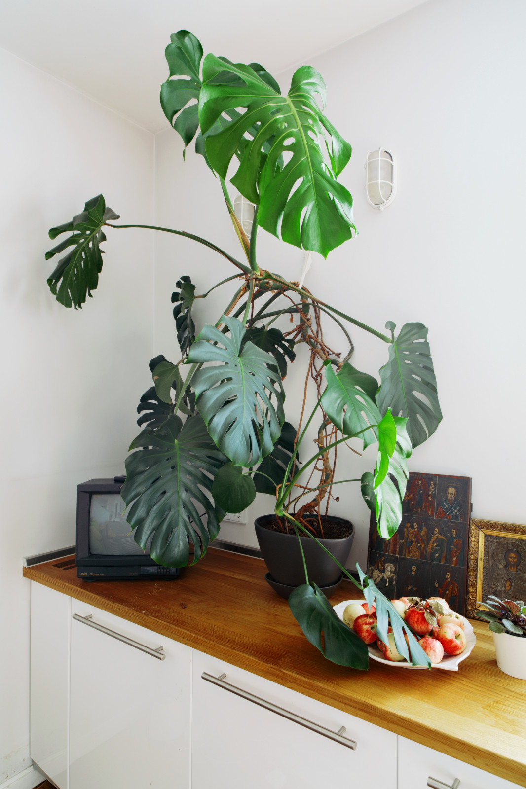 Интерьеры, которые я снимала