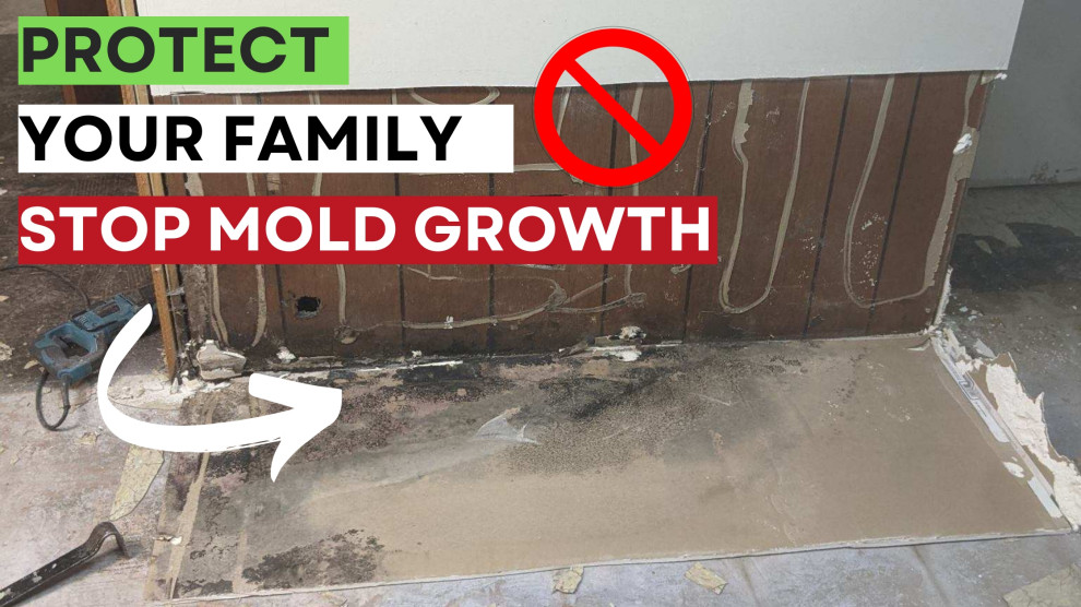 How to stop Mold Growth