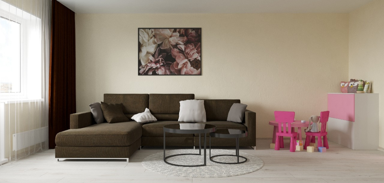 Большая комната с разным назначением