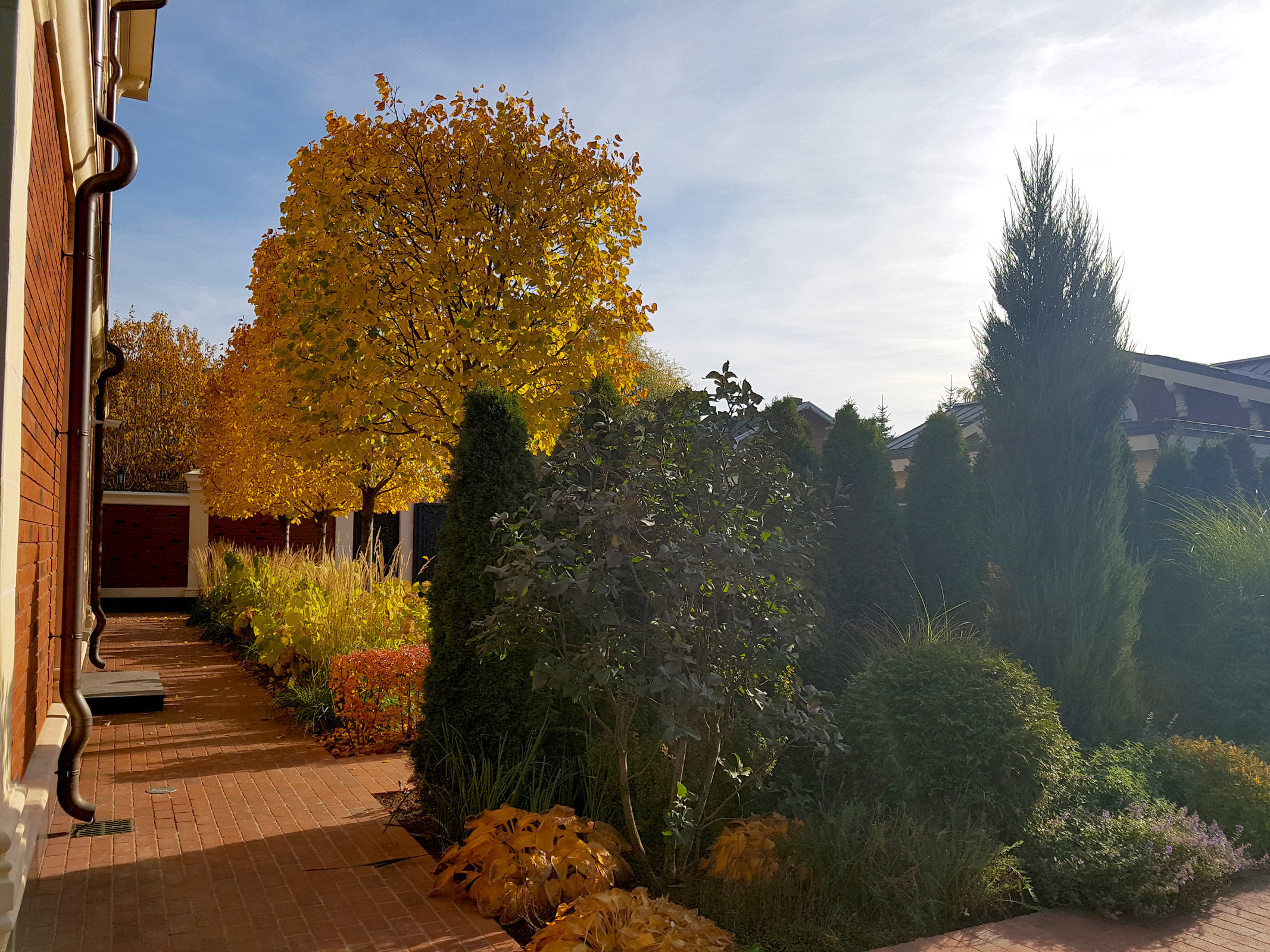 Сад с аурой.Осенние краски.