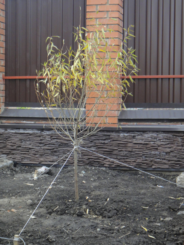 Ландшафтные работы и озеленение участка в Юрге