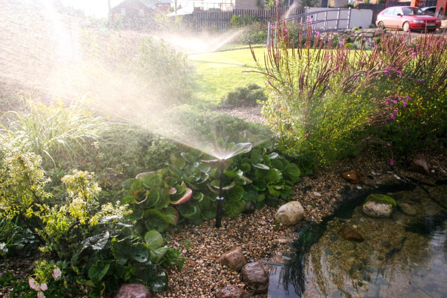 Полив в саду. Подмосковье.