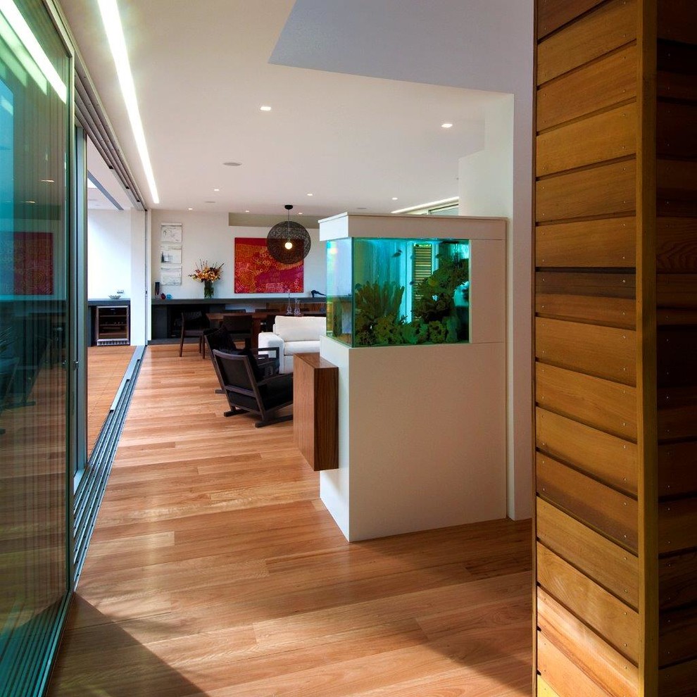 This is an example of a contemporary hallway in Sydney.