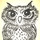 Spotted Owl Salvage