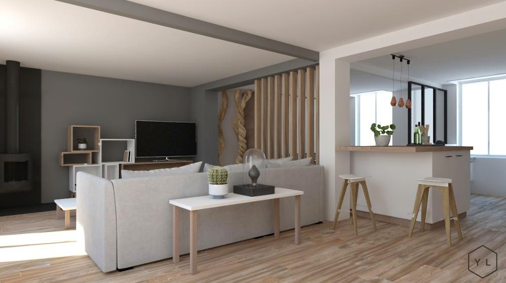 Rénovation d'une pièce de vie