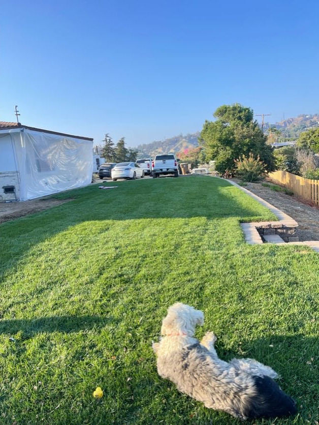 Fresh Front Yard with Irrigation and Retaining wall
