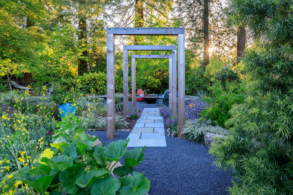 Design ideas for a medium sized contemporary garden in San Francisco.