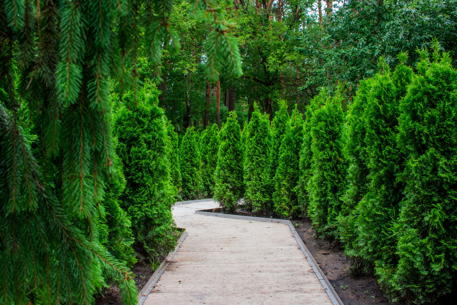 ЛАНДШАФТНЫЙ ПАРК ВДНХ Г.МОСКВА