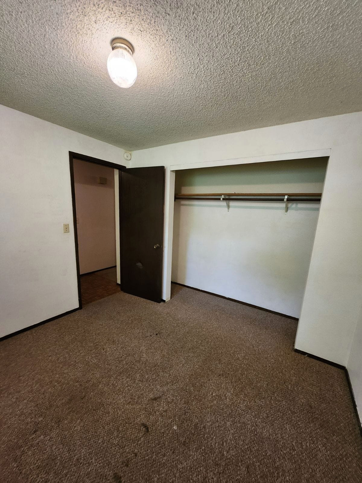 Olympia Duplex Remodel