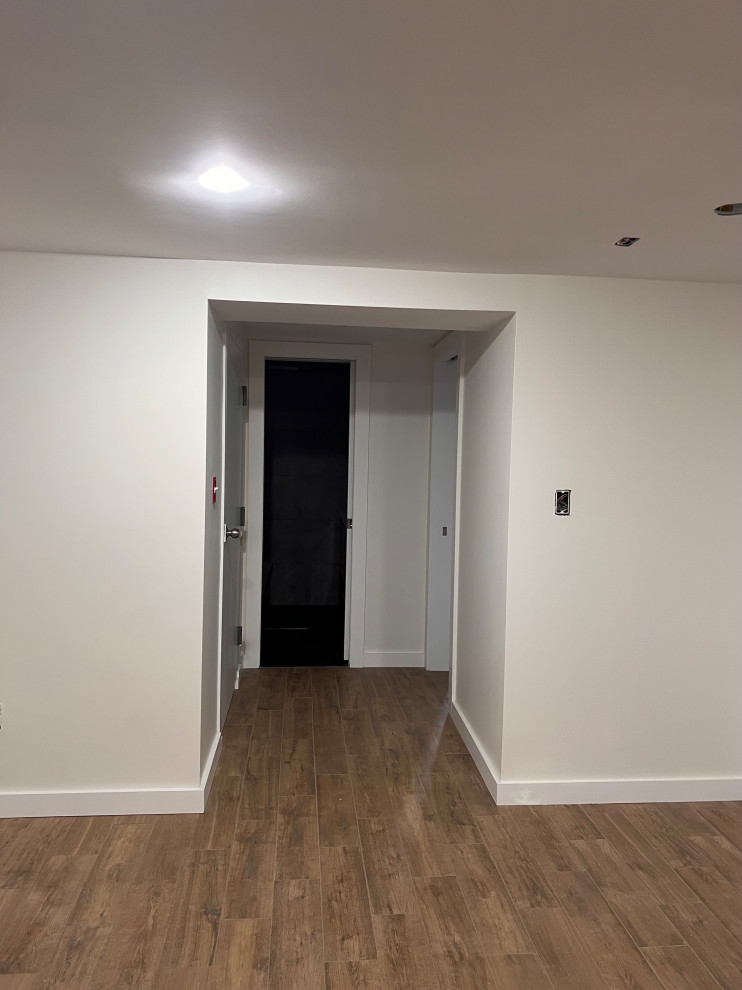 Complete Basement Renovation with Steam Bathroom