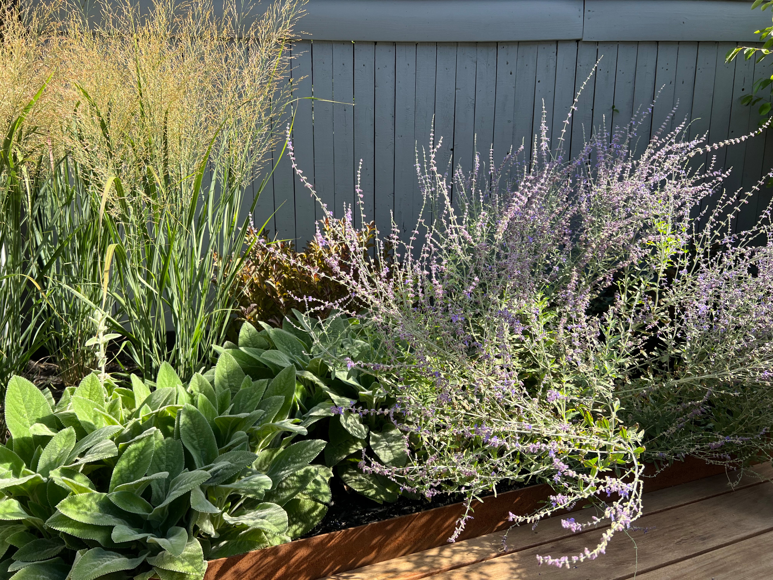 Paved patio with metal grating garden