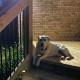 NC DECK & RAILING COMPANY LLC