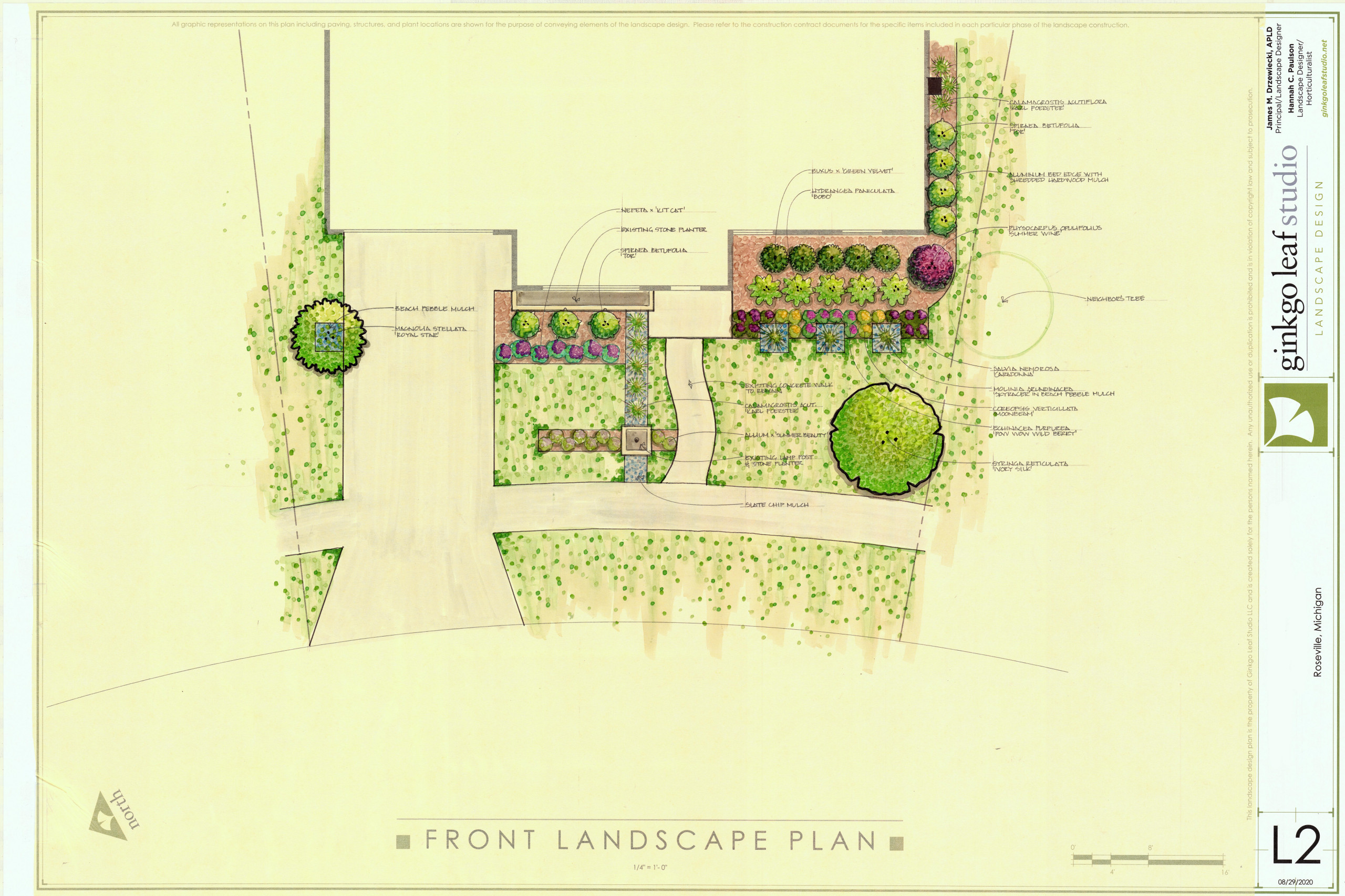 Mid-Century Front Yard - Roseville, MI