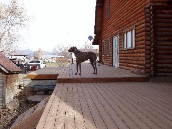 Example of a transitional deck design in Denver