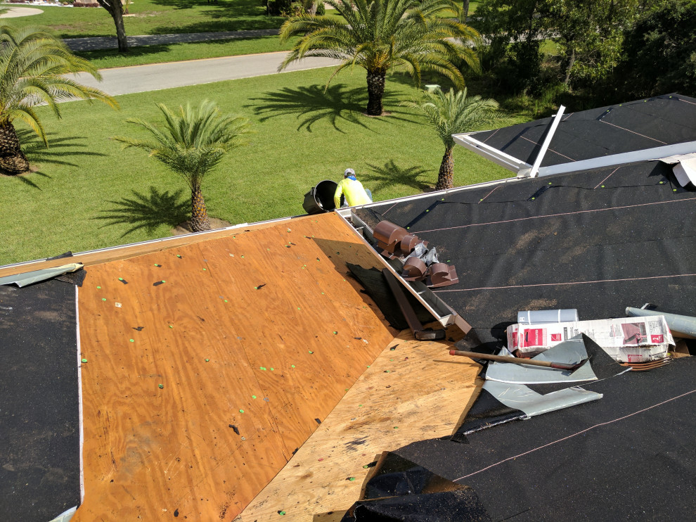 Shingle Roof