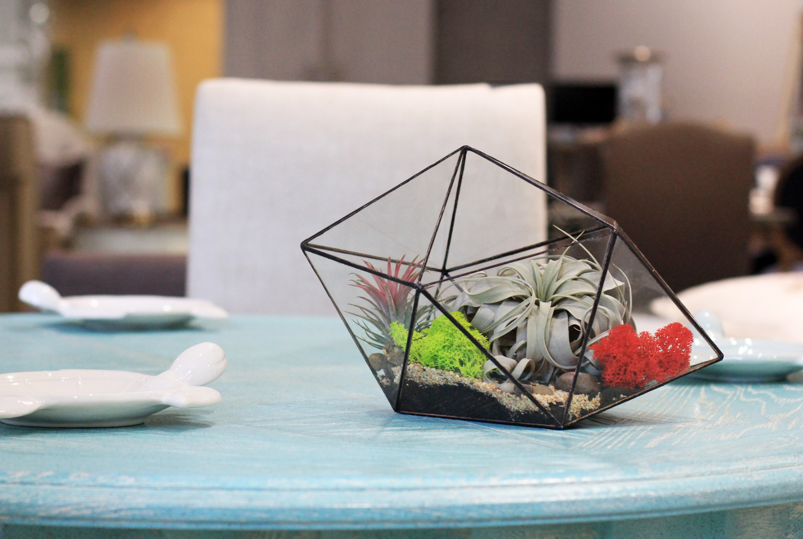 Флорариум "Заколдованный лес"