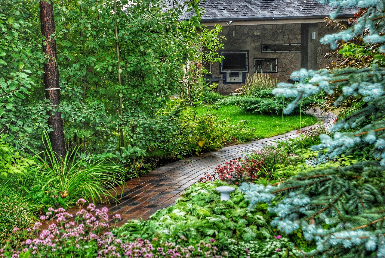 и на камнях растут цветы