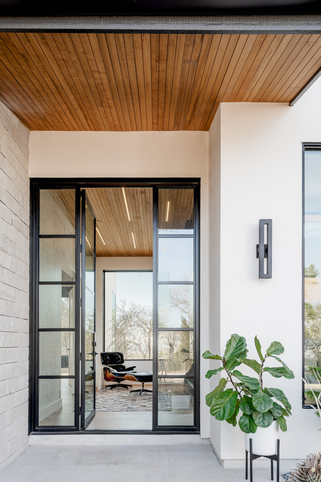 Photo of a contemporary entrance in Austin.