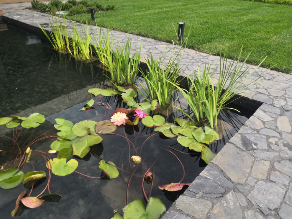 Landscape design of the territory (Moscow region)