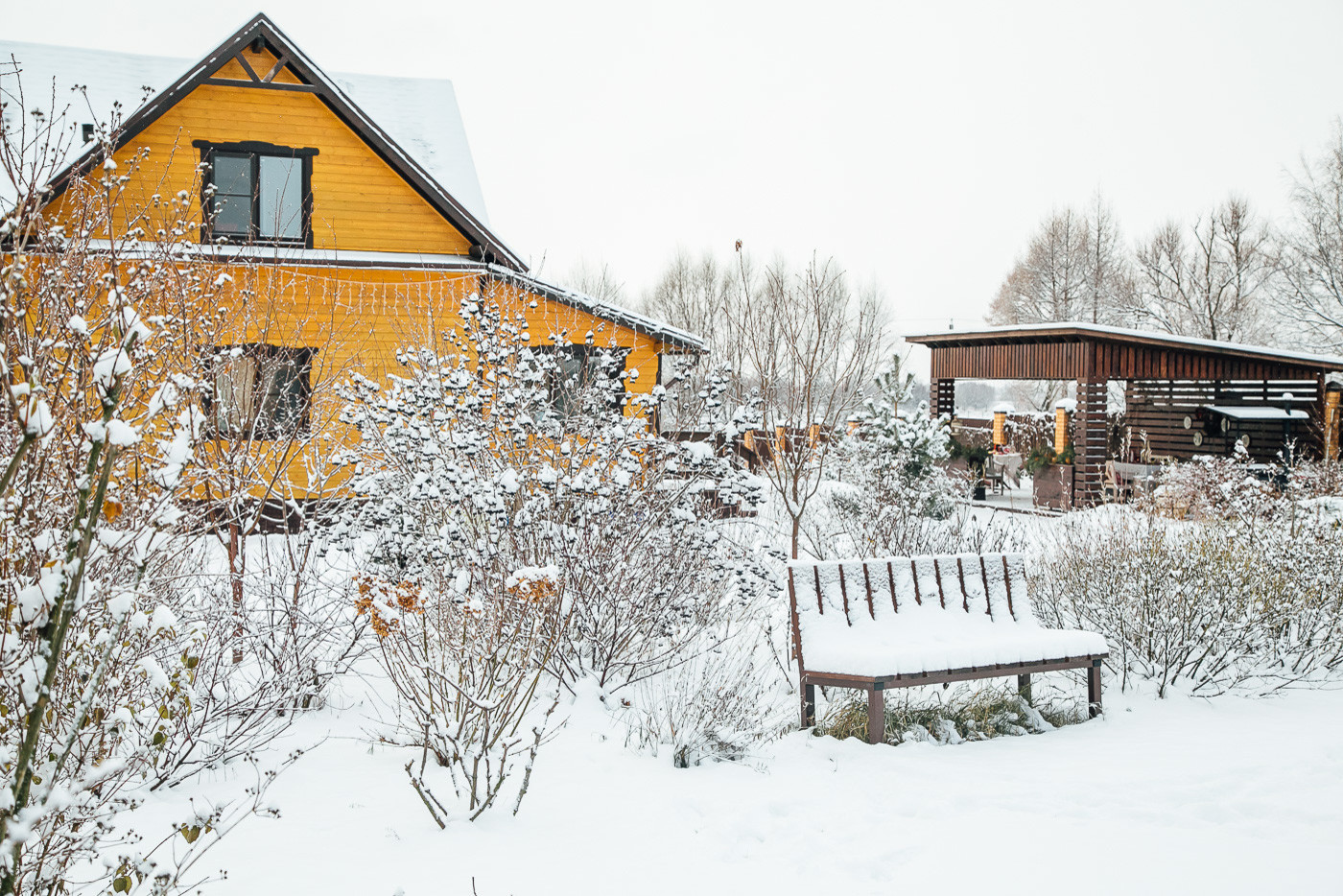 Зимний сад. Ощущение праздника!
