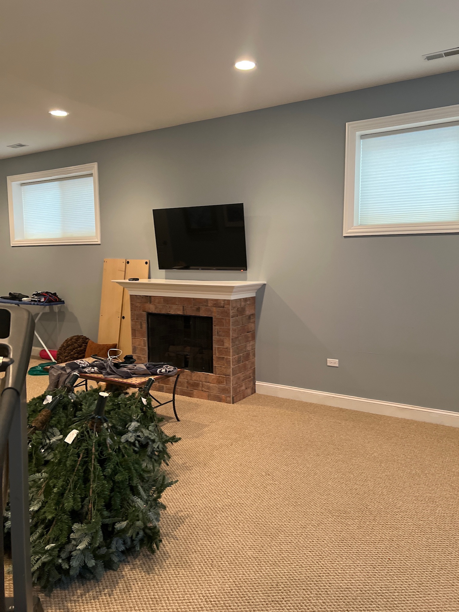 Bucktown, basement remodel
