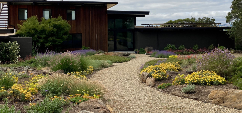 Идея дизайна: большой солнечный, весенний засухоустойчивый сад на переднем дворе с камнем в ландшафтном дизайне, хорошей освещенностью и покрытием из гравия